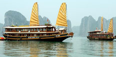 Bai Tho Junk Cruise