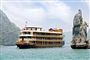 Emotion_Cruise3