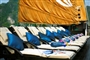 Paradise_Luxury_Cruise1