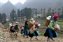 Sapa-Laochai