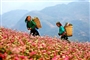 hagiang1