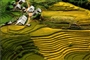 Tavan-Sapa