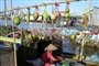 cai-rang-floating-market2