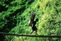 sapa-adventure1