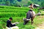 supan-village