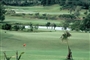 dongnaigolf