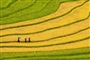 sapa-adventure2