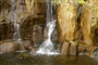 namcattien-park1