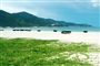 ocean-danang1