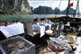 Paradise-Privilege-Luch