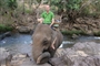 tadlo-laos1