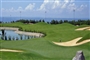 sea-link-golf