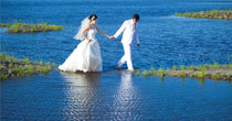 Paradise Romantic Honeymoon