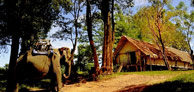 Explore The Highland of Southern Vietnam