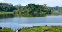 Nam Cat Tien National Park