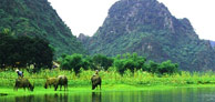 Phong Nha National Park & DMZ