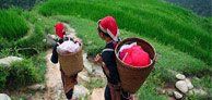 Sapa - Can Cau - Bac Ha Market Tour (start On Friday From Hanoi) Sapa - Can Cau - Bac Ha Market Tour (start On Friday From Hanoi)