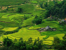 Sapa Hotels