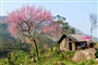 lao-cai-village