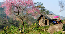 Vietnam Trail Explorer