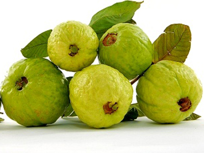 Fruits of Viet Nam: Guava (Ổi)