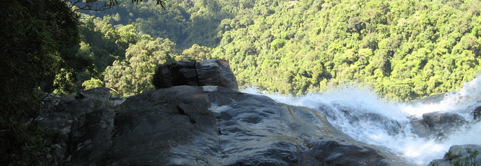 Bach Ma National Park