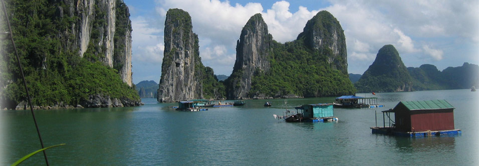 Bai Tu Long
