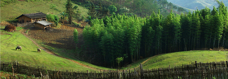 Da Lat