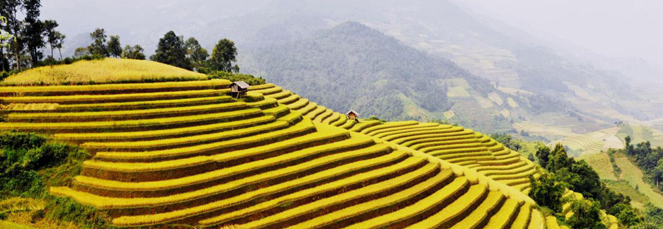 Lao Cai