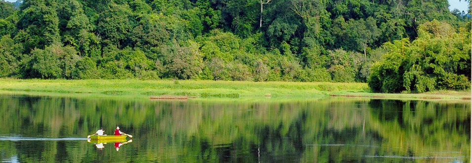 Nam Cat Tien National Park