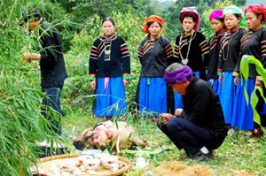 Pu Peo People: Culture, History & Insights | Expert Overview