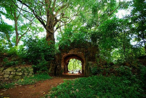 Son Tay ancient citadel