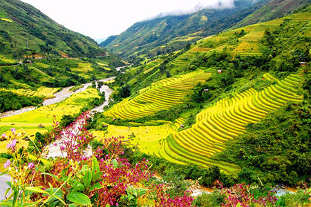Muong Hoa 