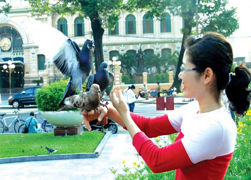 The fly around in the air, welcoming a new day and playing with the visitors