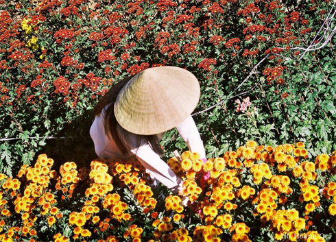 Feeling A Warm Christmas In The Flower City