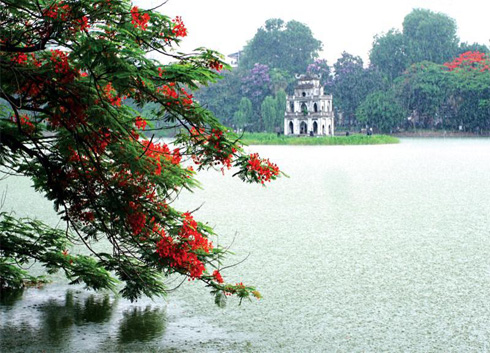 Flamboyant flowers awaken on the lake