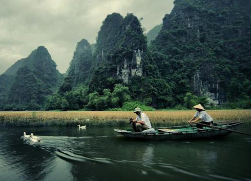 " Hunt " Ducks In Ninh Binh