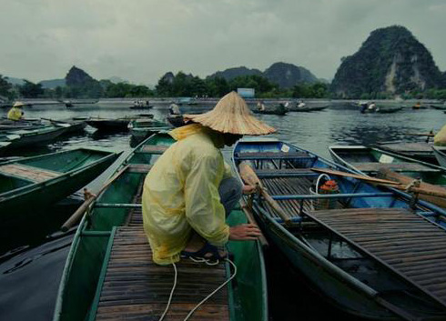 " Hunt " Ducks In Ninh Binh