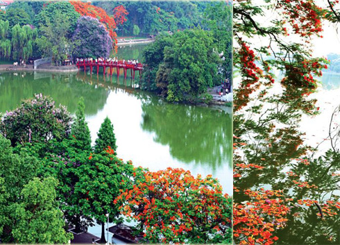 1.Piceces of colour in contrast - 2.Falling flower look like burning flames