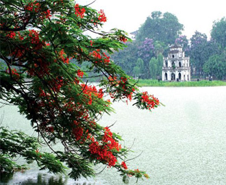 The Brilliant Flamboyant Flowers of Sword Lake