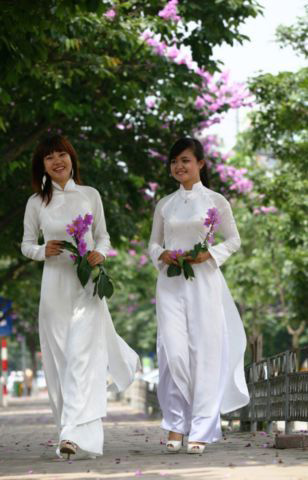 The memories of schoolgirls ar forgetable with purple flowers.