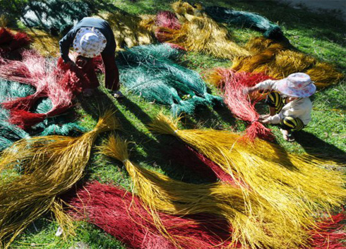 Drying dyed sedges