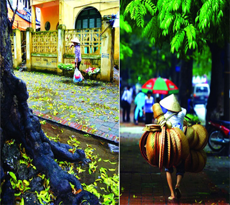 Autumn Arrives By The Moment
