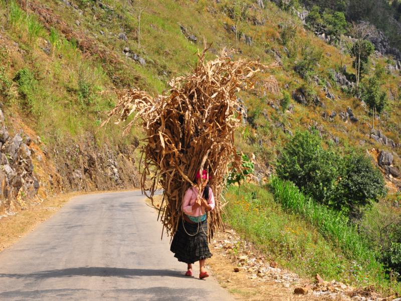 flower-season-in-ha-giang-1.jpg