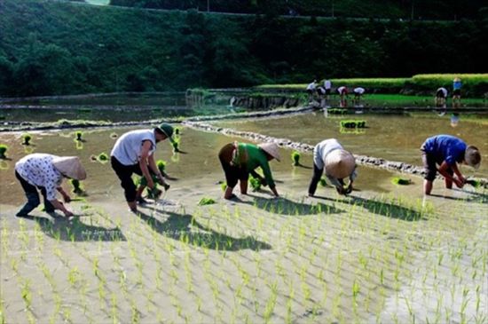 Lung Van – famous ancient land of Muong people