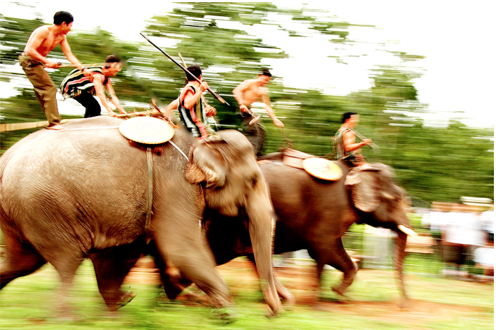 ELEPHANT_RACE_FESTIVAL