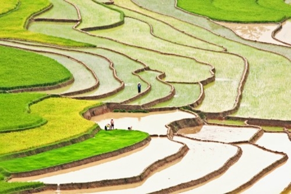 Mu Cang Chai - Yen Bai - Vietnam