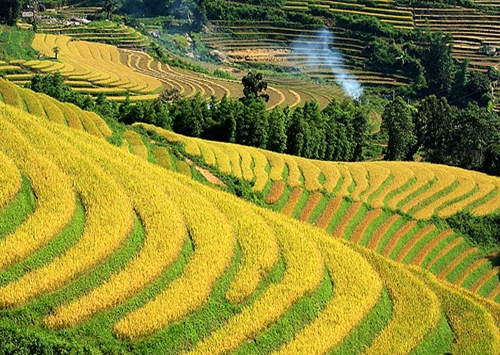 Sapa in July - lao Cai - Vietnam