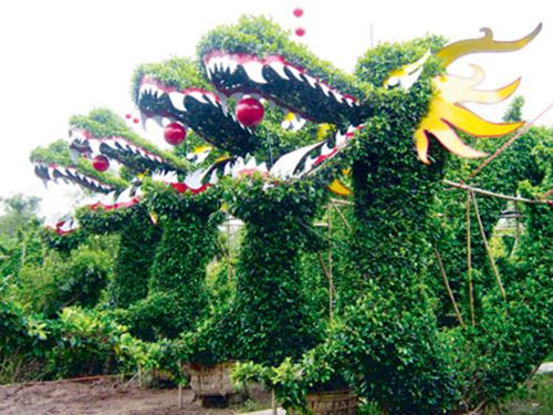 Cai Mon - Ben Tre