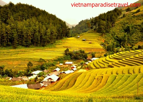 Mu Cang Chai - Yen Bai - Vietnam